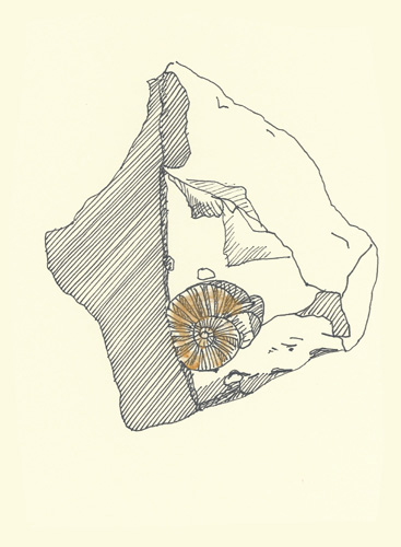 Drawing by Cally Trench